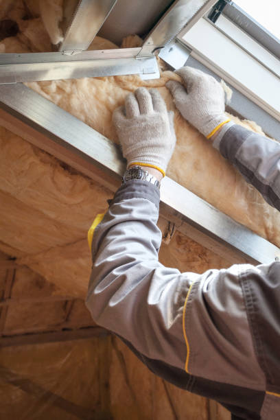 Best Professional Insulation Contractor  in Cozad, NE