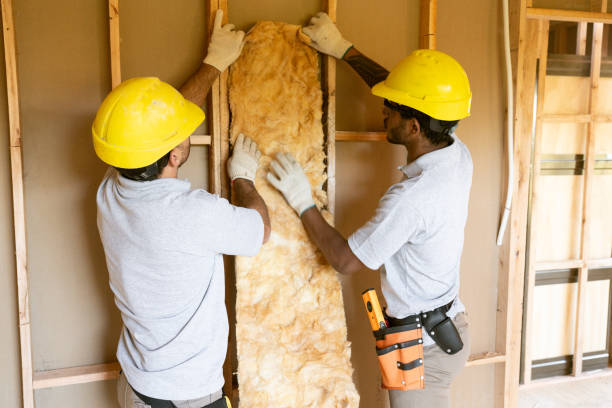 Best Home Insulation Services  in Cozad, NE