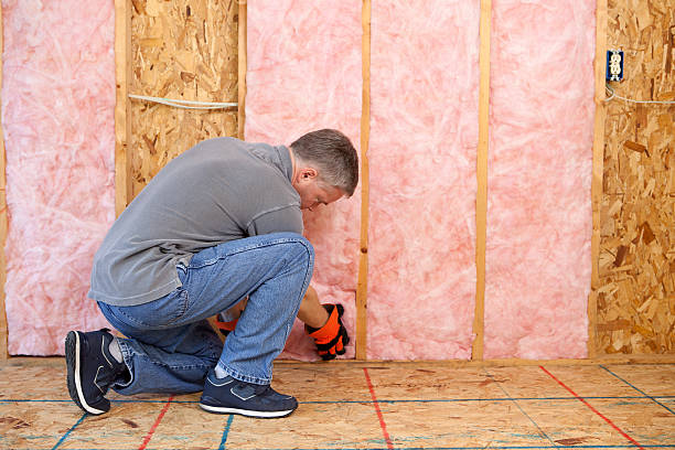 Best Insulation Replacement Services  in Cozad, NE