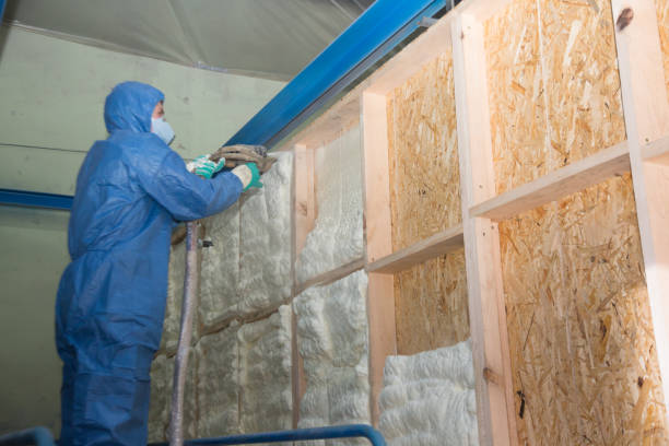 Best Attic Insulation Installation  in Cozad, NE