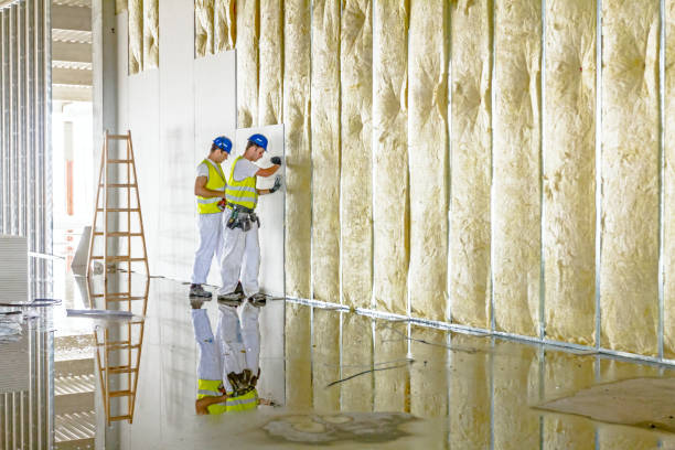 Best Residential Insulation Services  in Cozad, NE